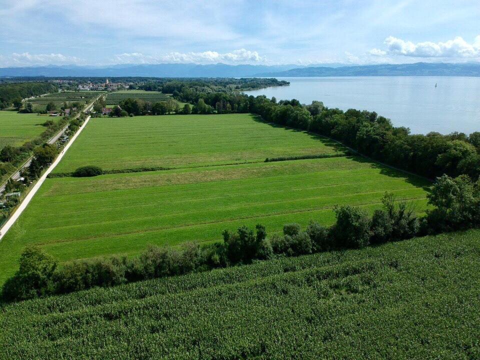 Ferien-Apartment Seewiesen Mit Privatstrand Friedrichshafen Bagian luar foto