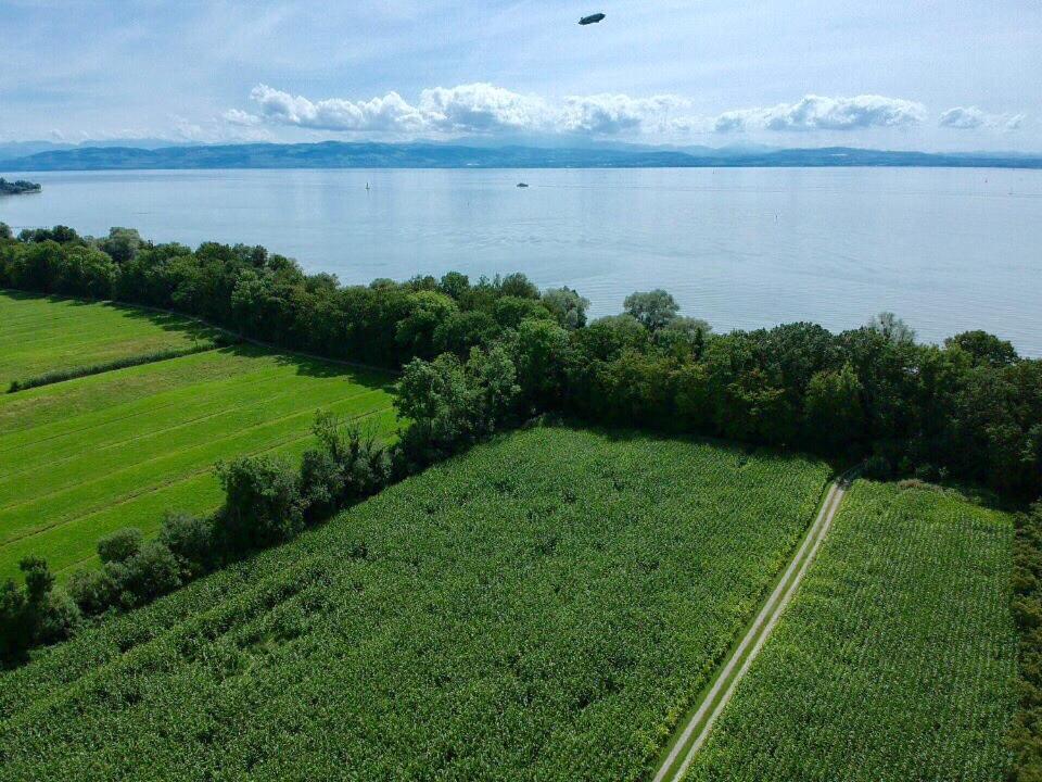 Ferien-Apartment Seewiesen Mit Privatstrand Friedrichshafen Bagian luar foto